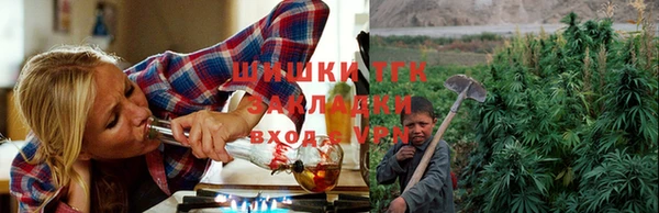 гидра Алексин