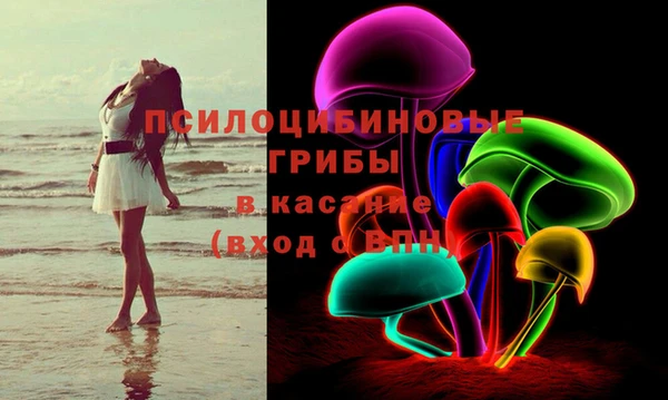 гидра Алексин